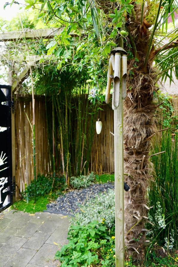 Jungle Stay In A Hidden Paradise Zwijndrecht Bagian luar foto