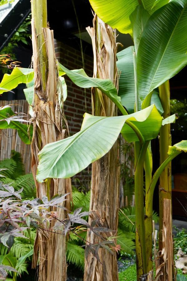 Jungle Stay In A Hidden Paradise Zwijndrecht Bagian luar foto