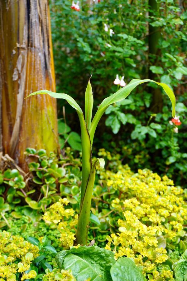 Jungle Stay In A Hidden Paradise Zwijndrecht Bagian luar foto