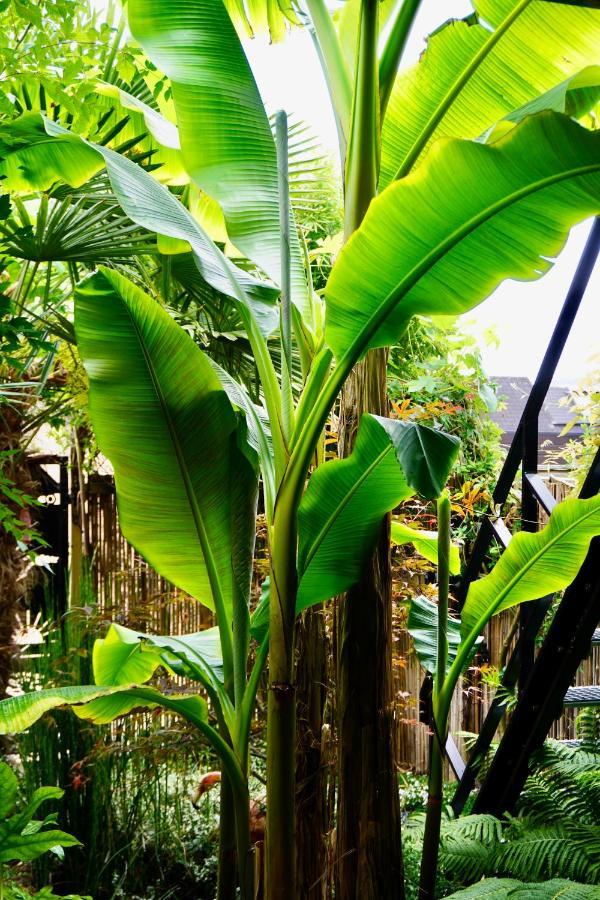 Jungle Stay In A Hidden Paradise Zwijndrecht Bagian luar foto