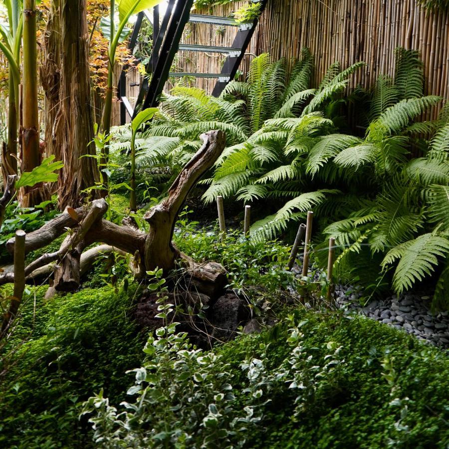 Jungle Stay In A Hidden Paradise Zwijndrecht Bagian luar foto