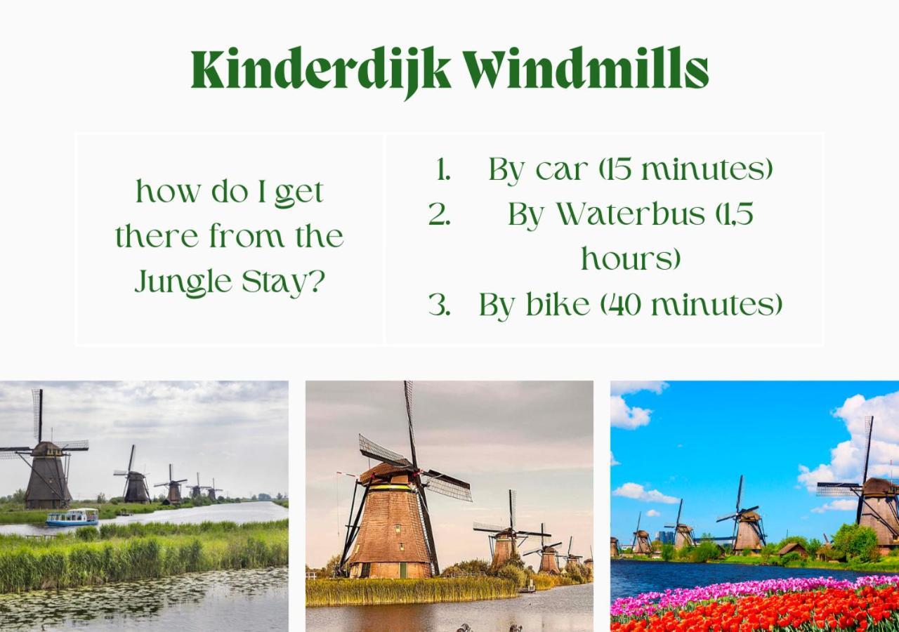 Jungle Stay In A Hidden Paradise Zwijndrecht Bagian luar foto